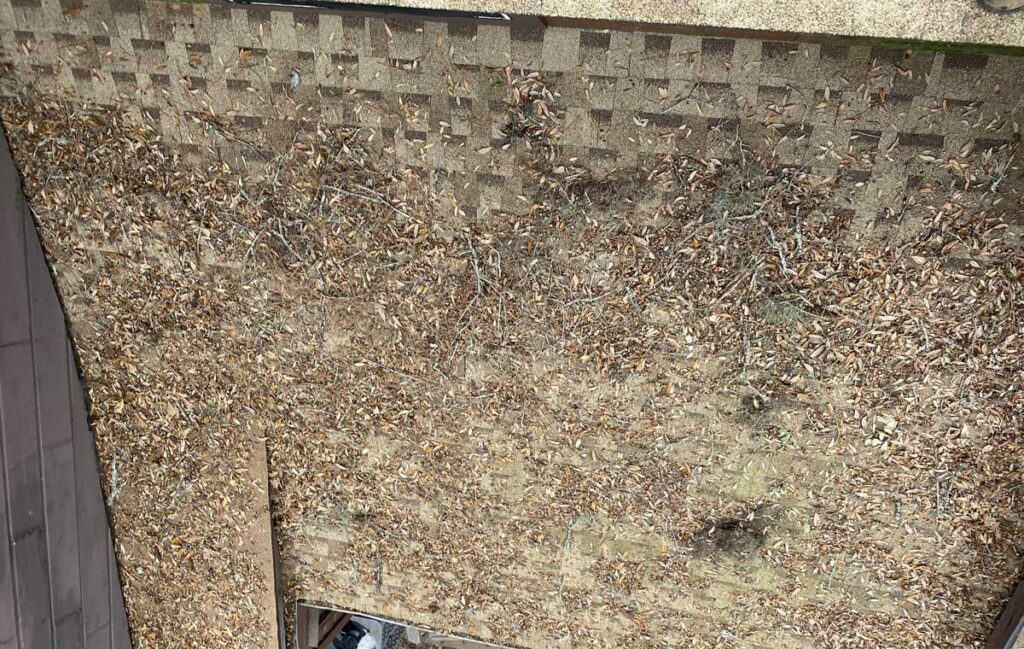 Gutter cleaning