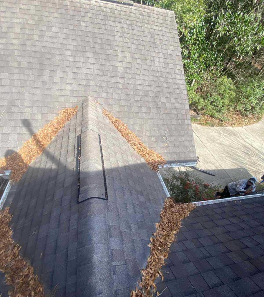 Gutter cleaning
