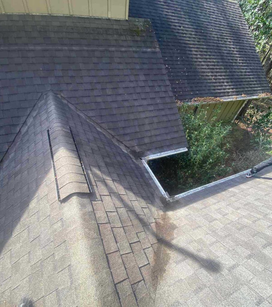 Roof cleaning