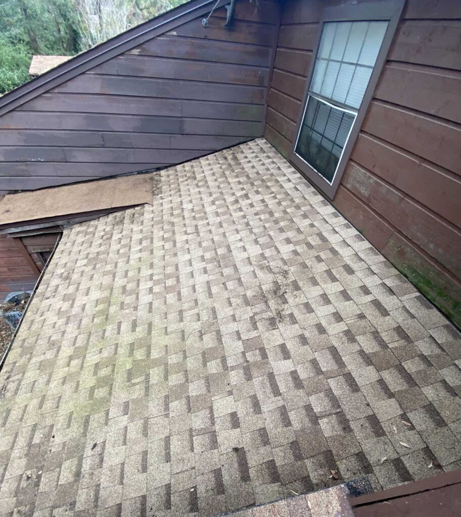 Roof cleaning
